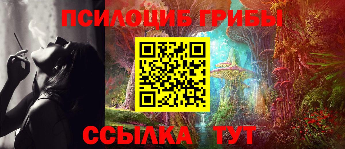 Галлюциногенные грибы MAGIC MUSHROOMS Пушкино