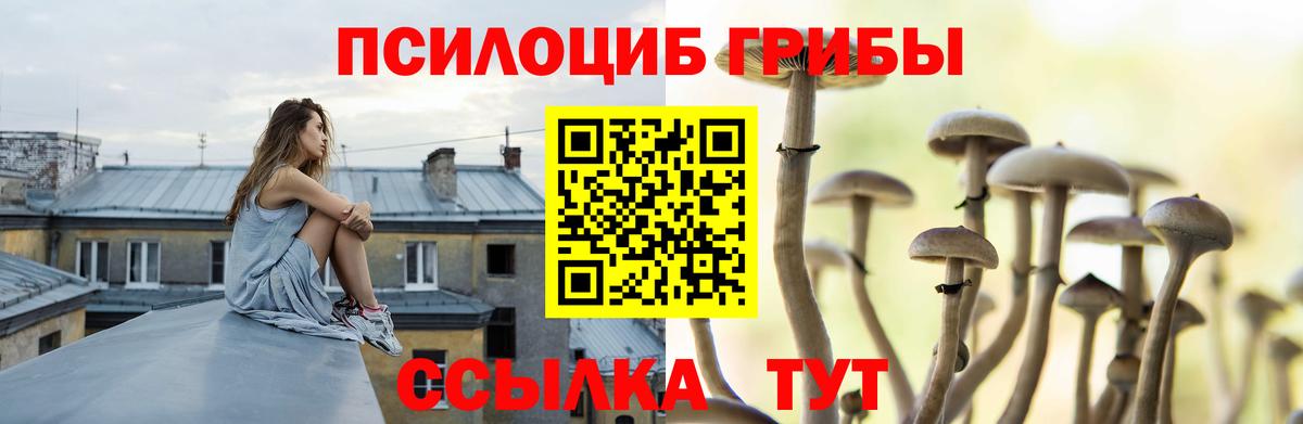 Псилоцибиновые грибы мицелий  Галлюциногенные грибы Magic Shrooms  Пушкино  Вход с VPN 